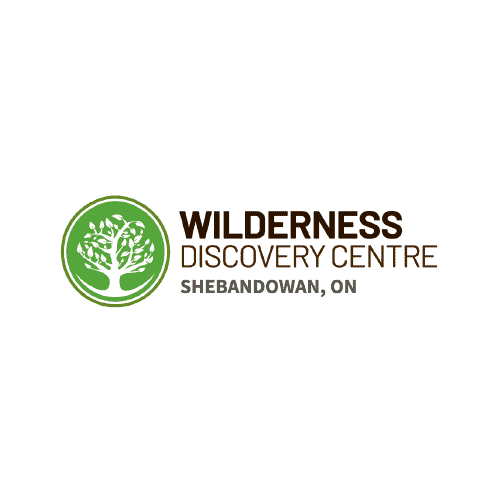 wilderness discovery logo